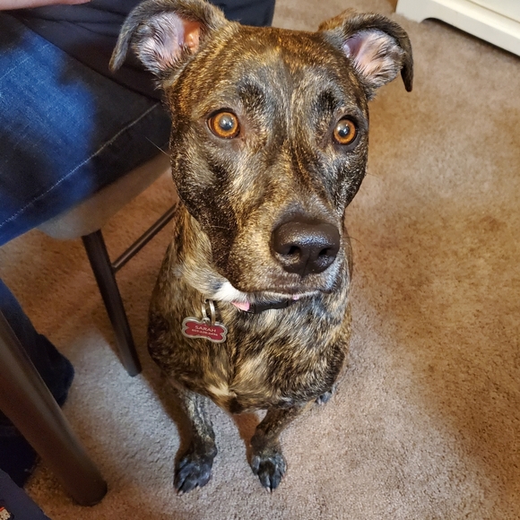 Meet your Posher, Sarah - Picture 3 of 7